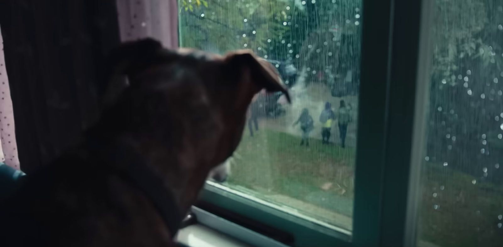 a dog looking out of a window at a rainy day