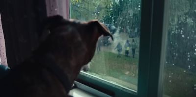 a dog looking out of a window at a rainy day