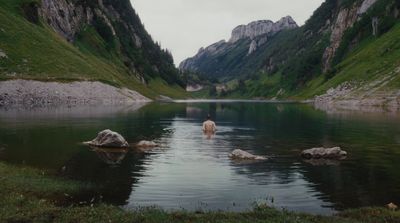 a person standing in a body of water surrounded by mountains