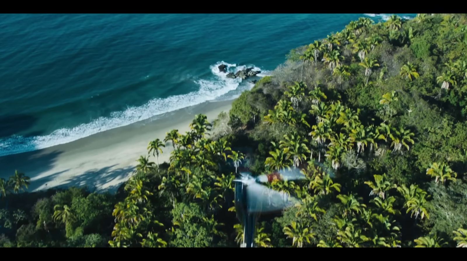 an aerial view of a beach and trees