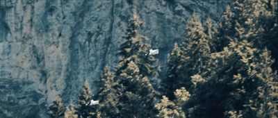 a group of animals standing on top of a lush green forest