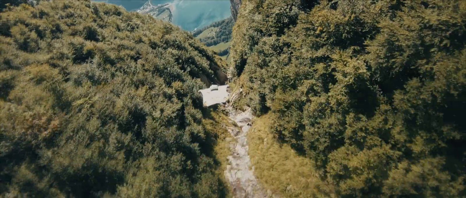 an aerial view of a house in the middle of a forest