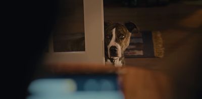 a brown and white dog looking through a door