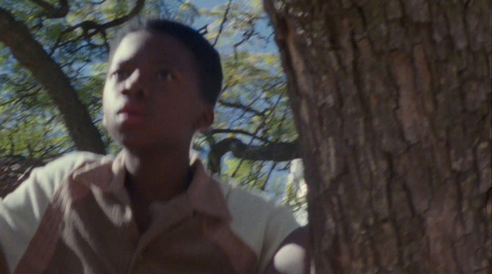 a man standing next to a tree with a frisbee in his hand