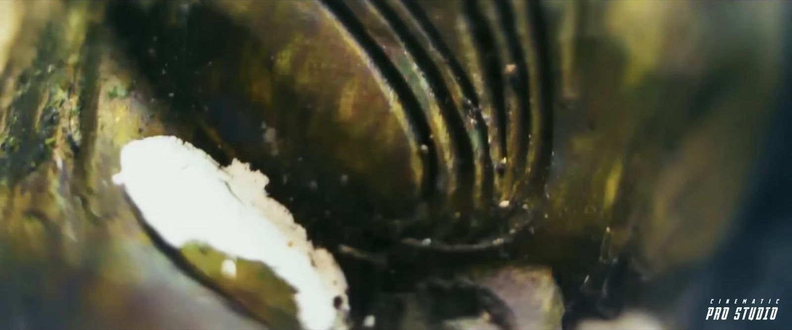 a close up of a fork in a glass jar