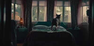 a dog standing on top of a bed in a bedroom