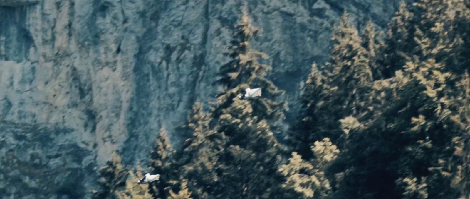 a group of trees on the side of a mountain