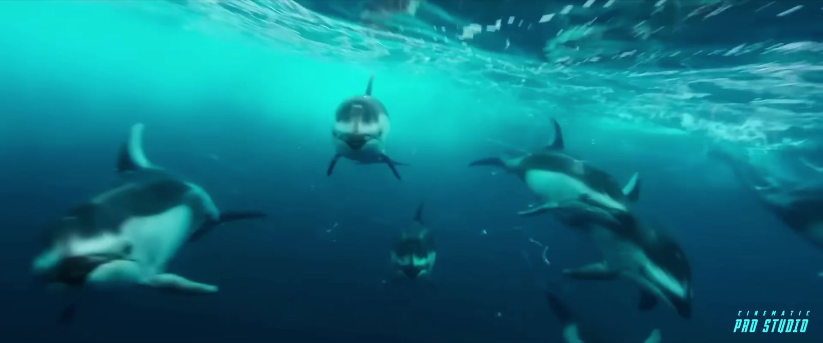 a group of dolphins swimming in the ocean