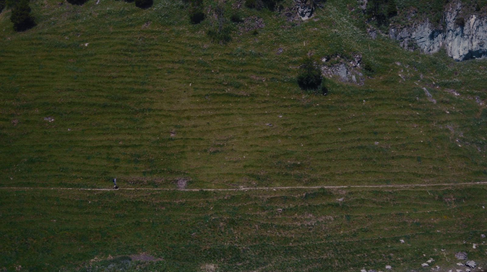 an aerial view of a grassy area with a mountain in the background