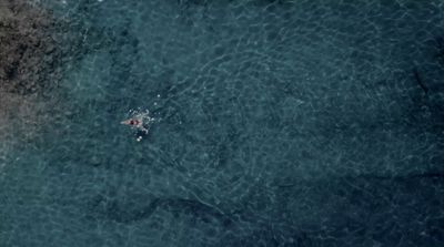 an aerial view of a person swimming in the ocean