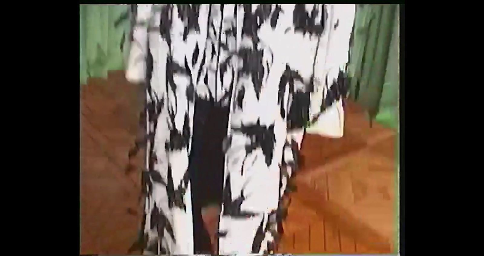 a picture of a woman's legs with a black and white pattern