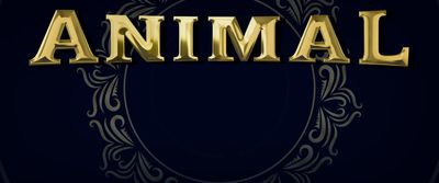 the word animal written in gold on a black background