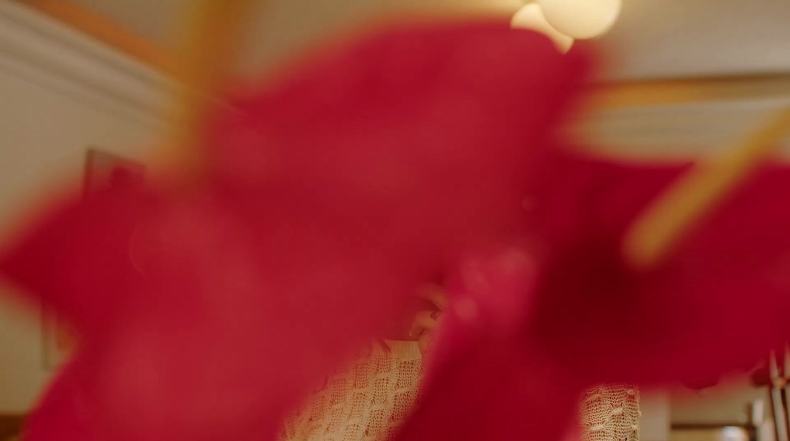 a blurry image of a red flower in a vase