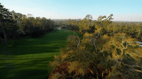 an aerial view of a golf course surrounded by trees