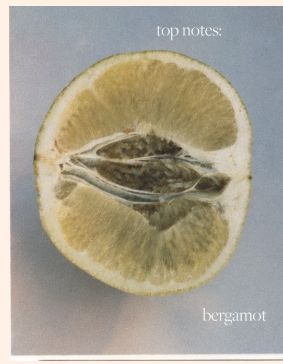 a lemon cut in half with the words top notes below it