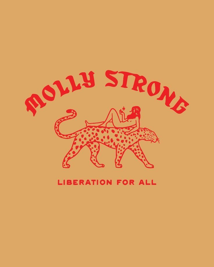 a picture of a person riding a cheetah