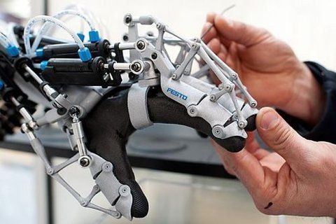 a person holding a robotic hand in their hand