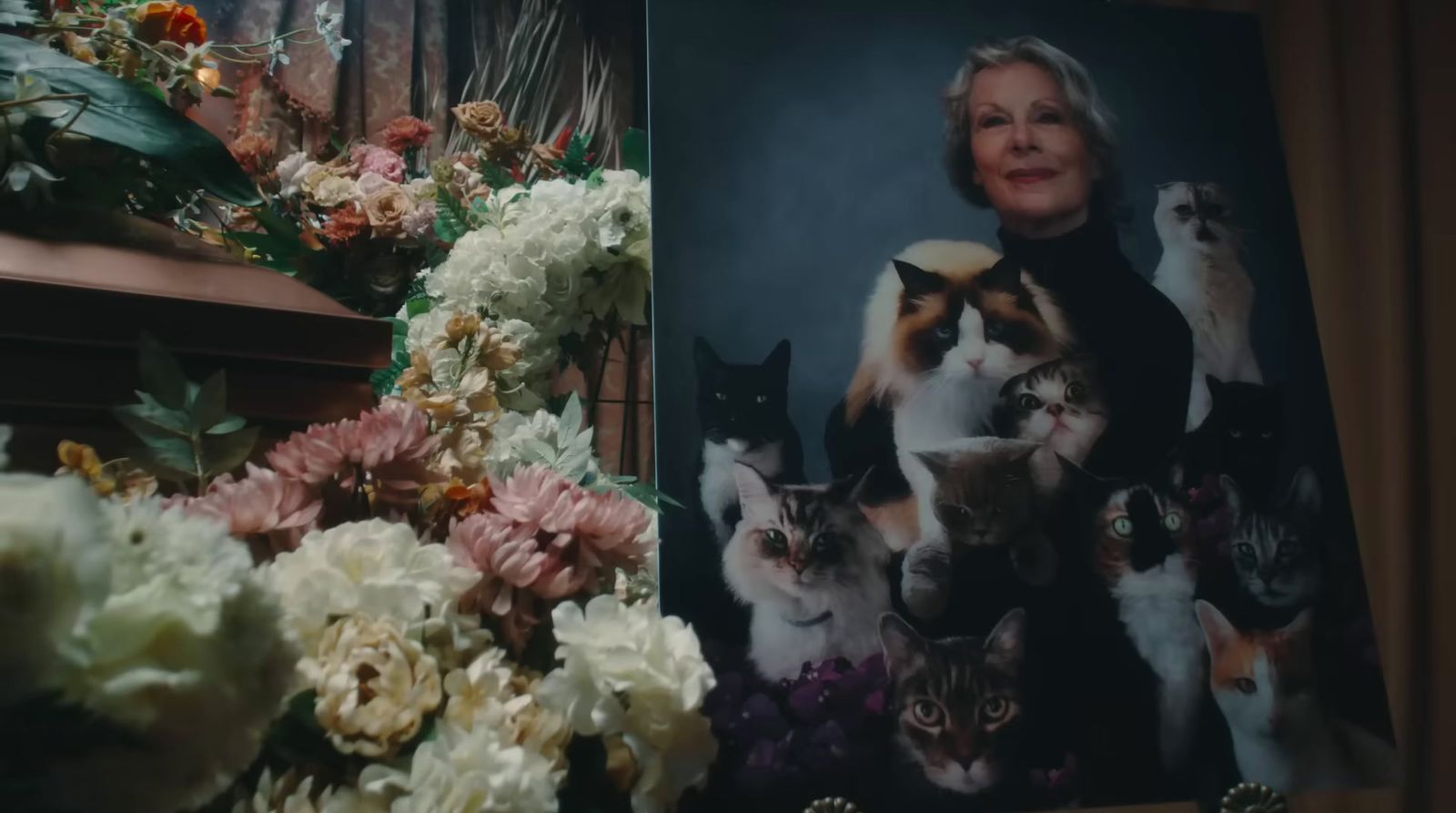 a picture of a woman surrounded by cats