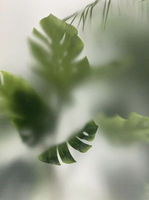 a close up view of a green leaf