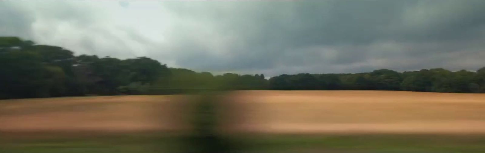a blurry photo of a field with trees in the background