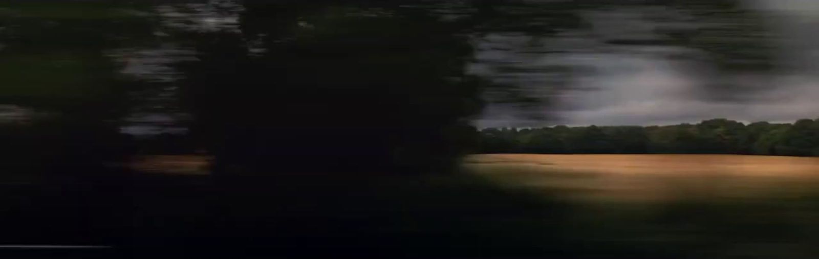 a blurry picture of a field with trees in the background