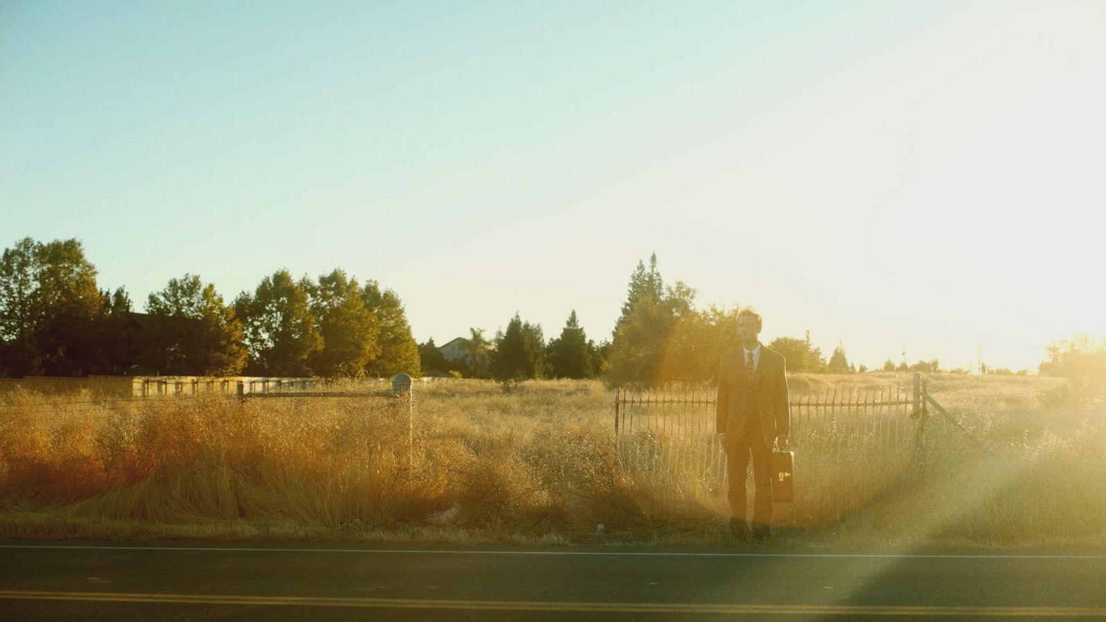 the sun is shining on a field of tall grass