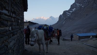 a white horse standing next to a stone building