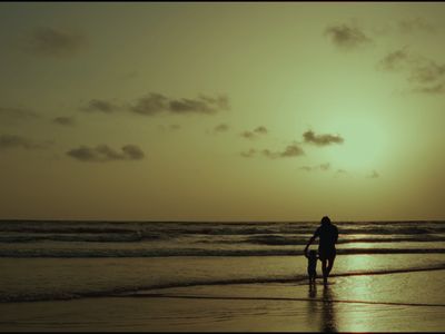 a person walking on a beach at sunset