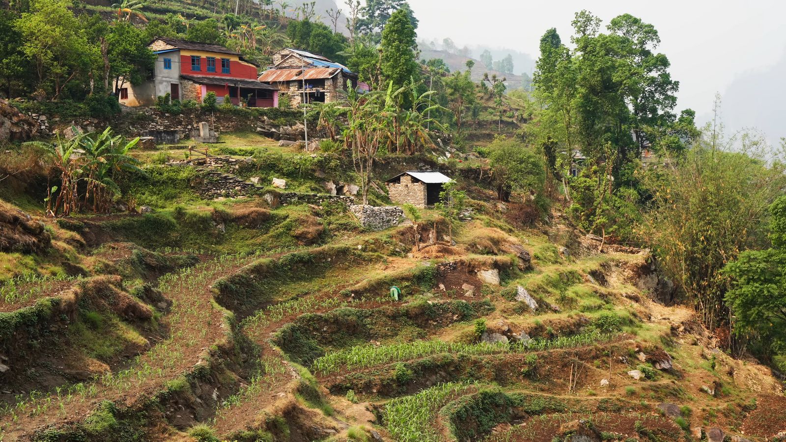 a house on top of a hill surrounded by trees