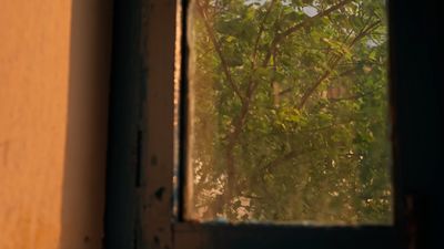 a window with a view of a tree outside