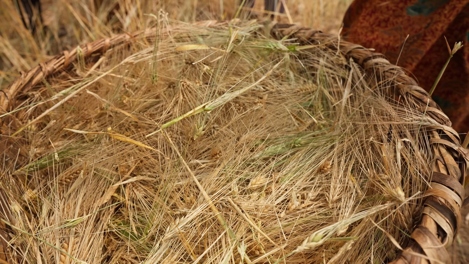 a close up of a basket of hay