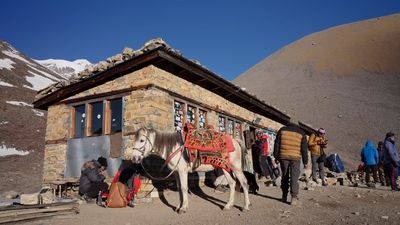 a group of people standing next to a horse