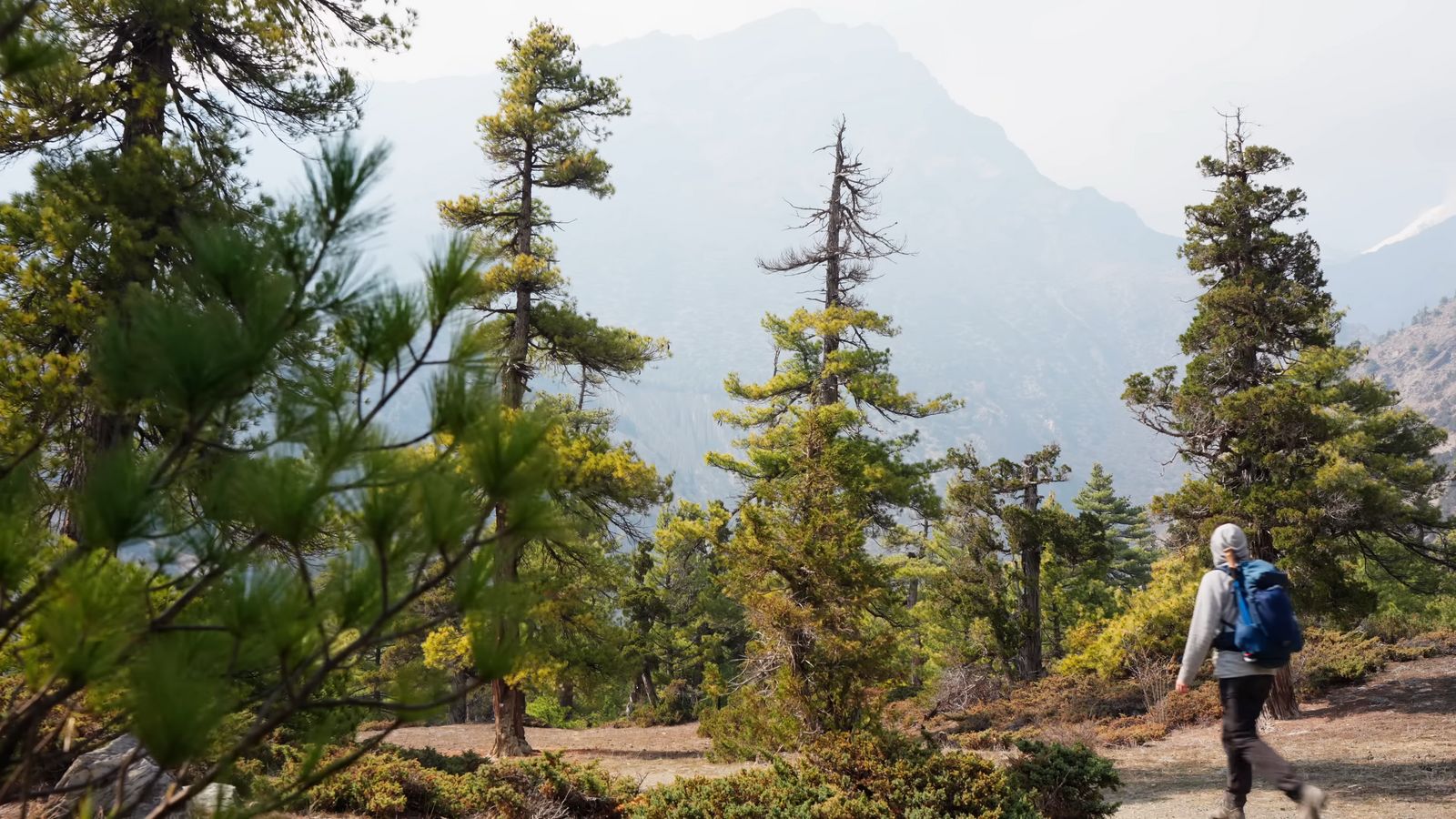 a person with a backpack walking up a trail