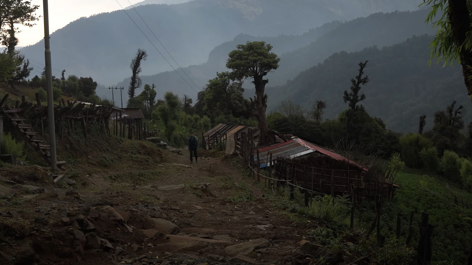 a man walking down a dirt road next to a forest