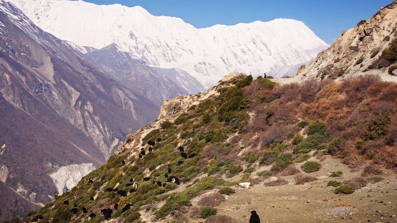 a man standing on top of a mountain next to a lush green hillside