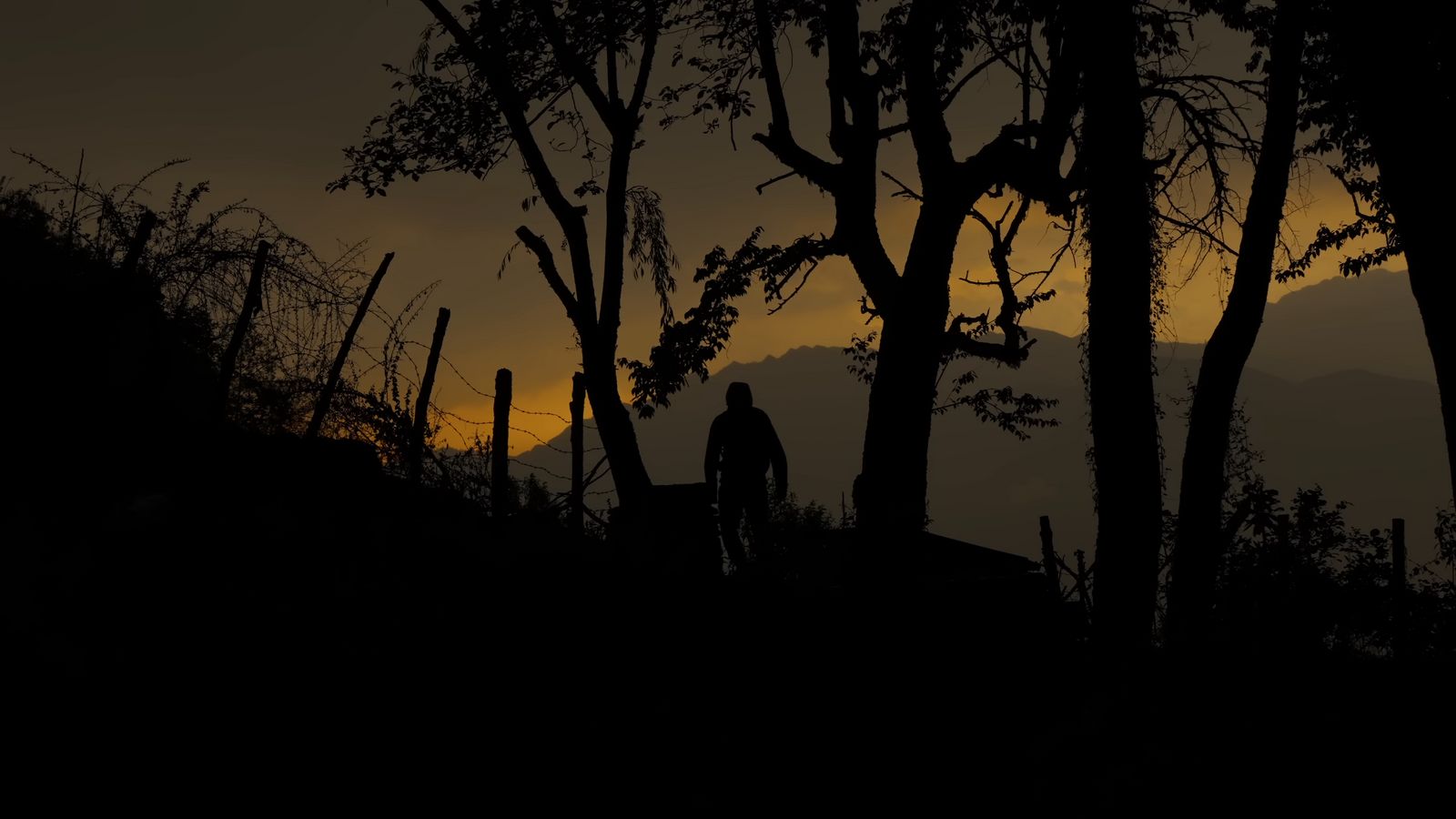 a silhouette of a person standing next to a tree