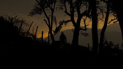 a silhouette of a person standing next to a tree