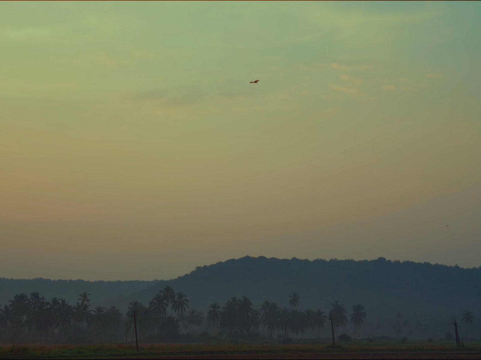 a plane flying in the sky over a forest