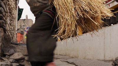 a man carrying a bundle of straw down a street