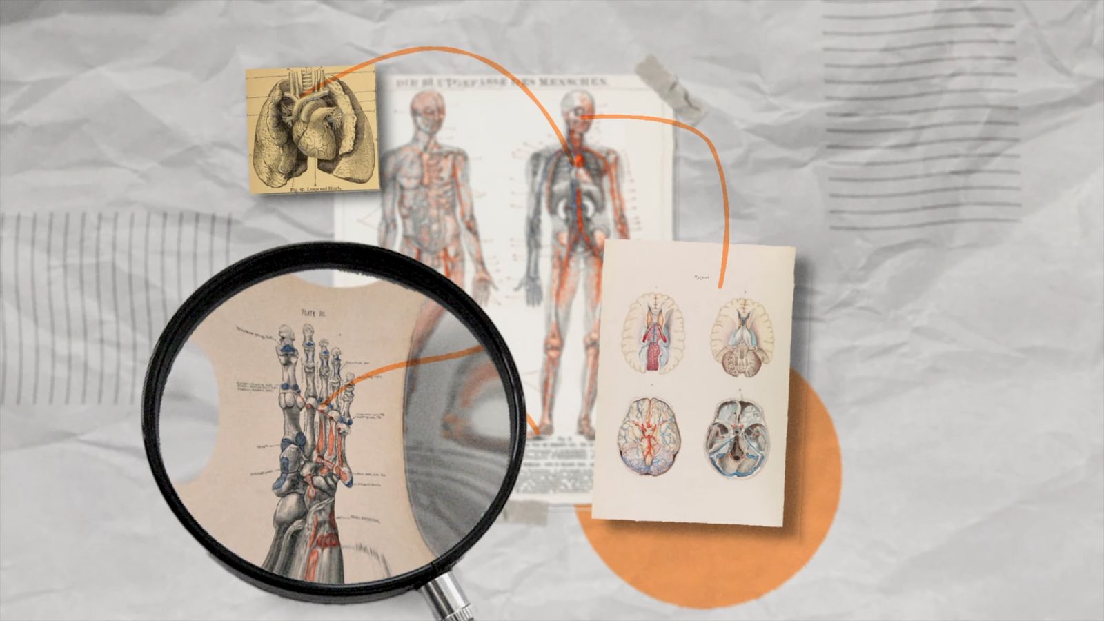 a magnifying glass with a picture of a human body on it