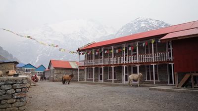 a couple of animals standing in front of a building