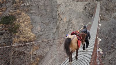 two people walking on a suspension bridge with horses