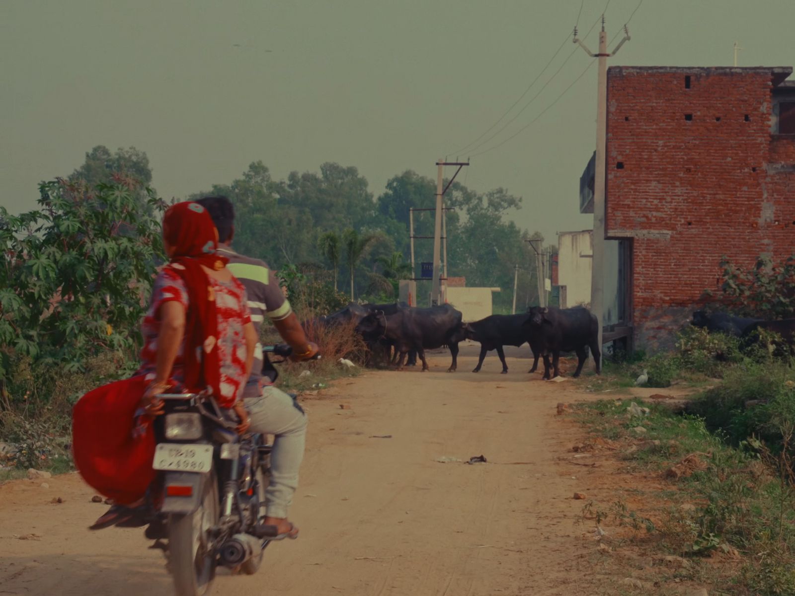 a man riding a motorcycle down a dirt road