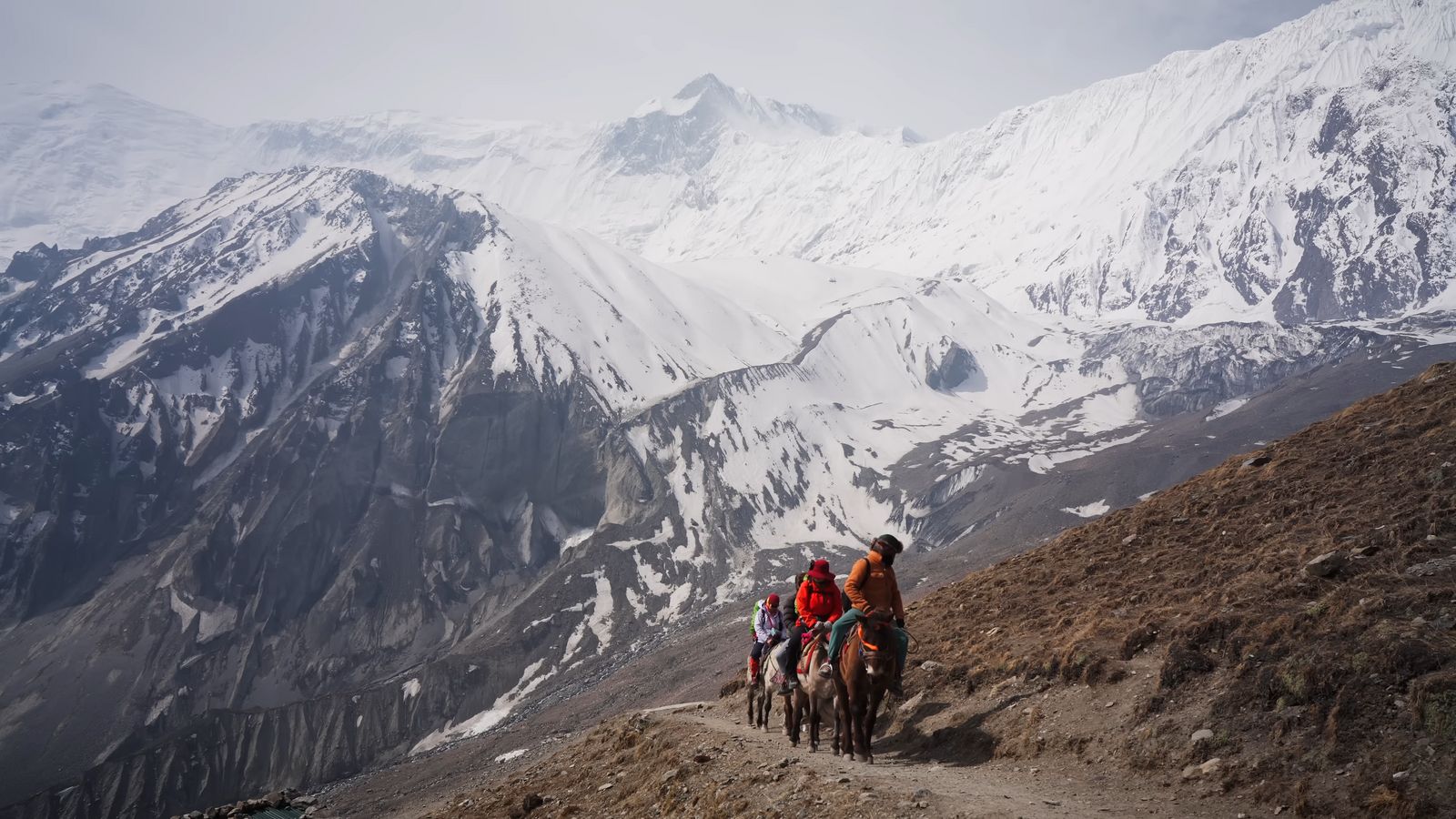 a group of people riding horses up a mountain