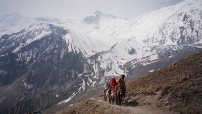 a group of people riding horses up a mountain