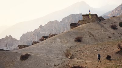 a man walking a dog down a path in the mountains