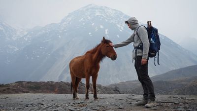 a man is petting a horse on the side of a mountain