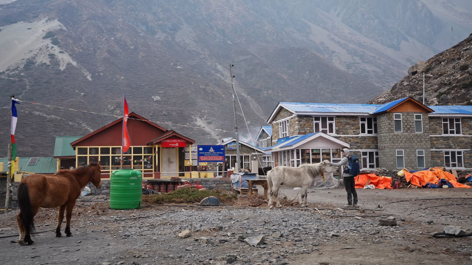 a man standing next to a brown horse in front of a mountain