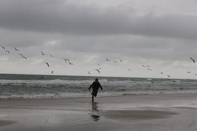 a person walking on a beach near the ocean