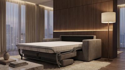 a living room with a couch and a pull out bed